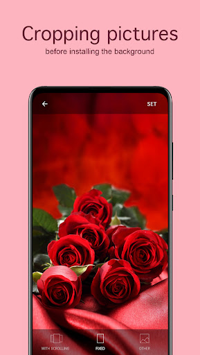 Screenshot of Rose Wallpapers 4K