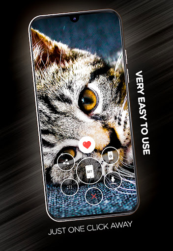 Cute animals Wallpapers Screen 2