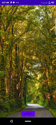 Green Wallpapers Screen 3