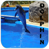 Dolphin Singing icon