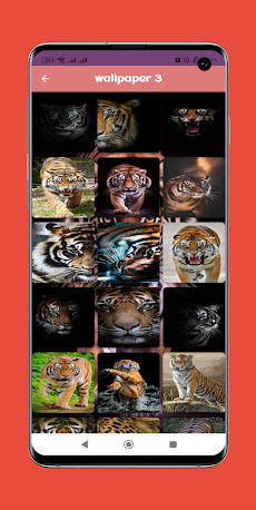 Tiger wallpaperのおすすめ画像4