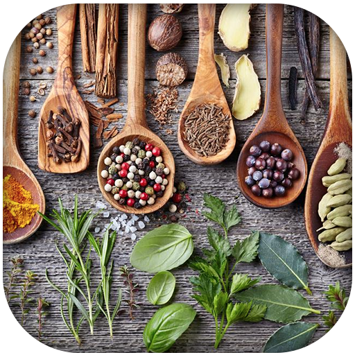 Spices For Health 1.0 Icon