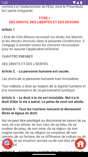 Constitution Ivoirienne Screen 3