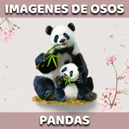 Imágenes de Osos Pandas logo