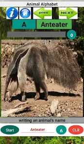 Animal Alphabet - Apps on Google Play