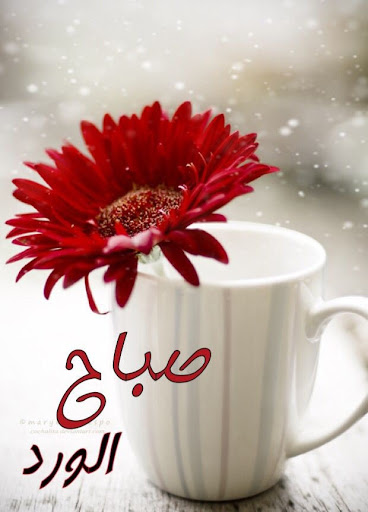 صباح الخير 2022