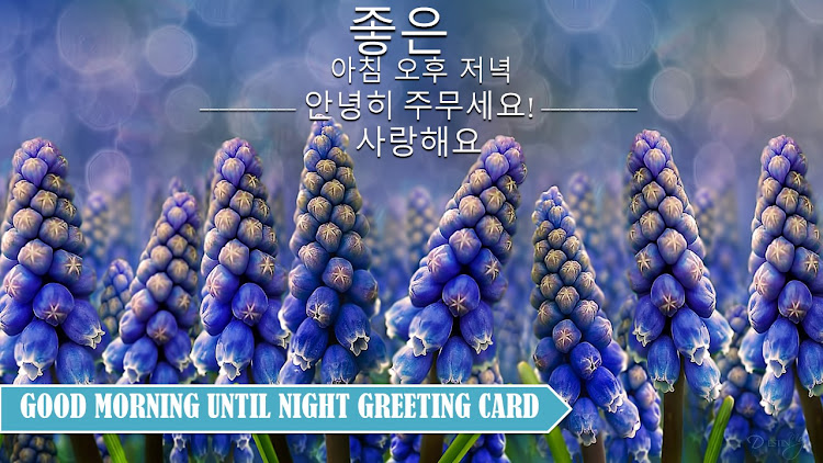 Korean Good Morning to Night - 4.22.04.0 - (Android)