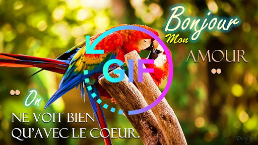 Android application French Good Morning Night Gif screenshort