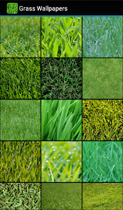 Grass Wallpapers