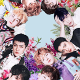 Exo Wallpapers KPOP HD icon