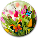 Spring Live Wallpaper Apk