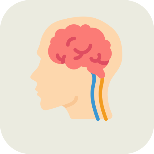 Nervous System Physiology  Icon