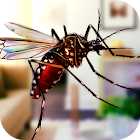 Flying Insect Mosquito Home Life Sim 3D 1.0.0
