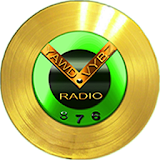YAWDVYBZ RADIO 876 icon