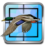 Real Duck Hunt icon
