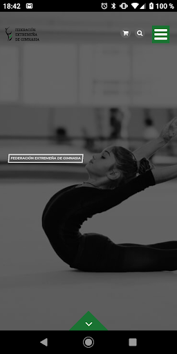 FexGimnasia Screen 3