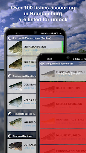 Fishguide Brandenburg Screen 2