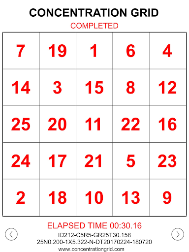 Concentration Grid screenshot 23