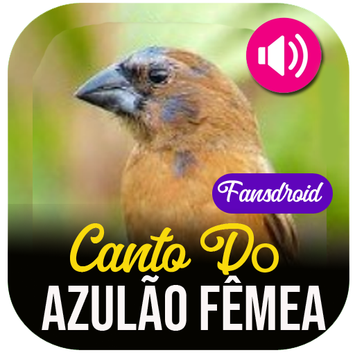 Canto Do Azulão Fêmea Laai af op Windows