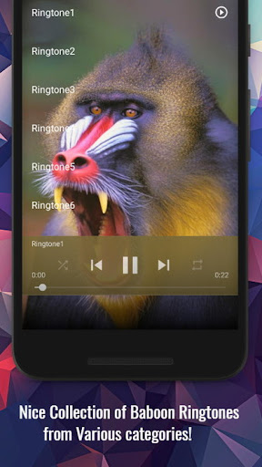 Baboon Sounds Screen 2