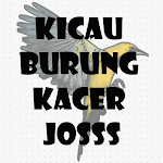 Cover Image of Download KICAU BURUNG KACER JOSSS  APK