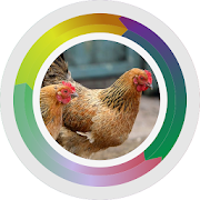 Top 30 Education Apps Like Complete Chicken Cultivation JOPER - Best Alternatives