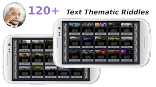 Einstein's Riddles Text Puzzle - Screenshot 2