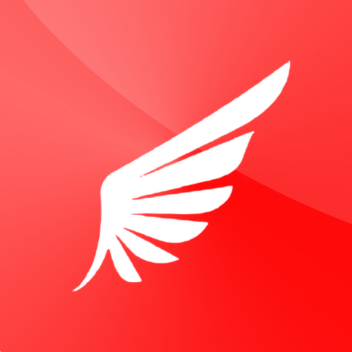 Bhartiya Airways logo