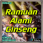 Cover Image of Herunterladen Ramuan Alami Ginseng Menambah  APK
