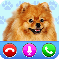 Video call from cute dog - puppy call simlate