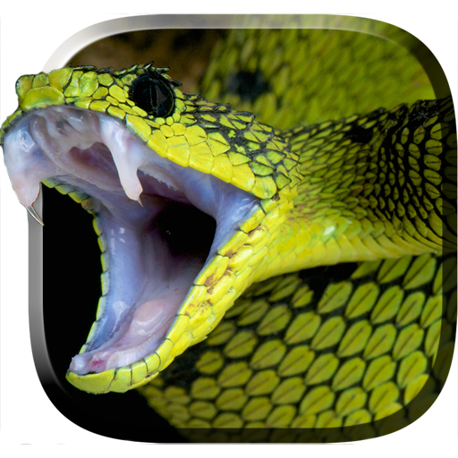 Snake Live Wallpaper - Apps on Google Play