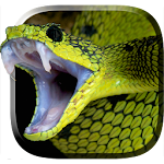 Cover Image of Tải xuống Snake Live Wallpaper  APK