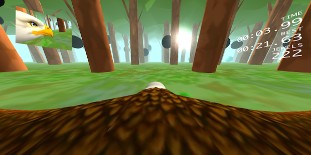 Eagle Ride Screenshot