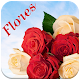 Frases Bonitas con flores Download on Windows