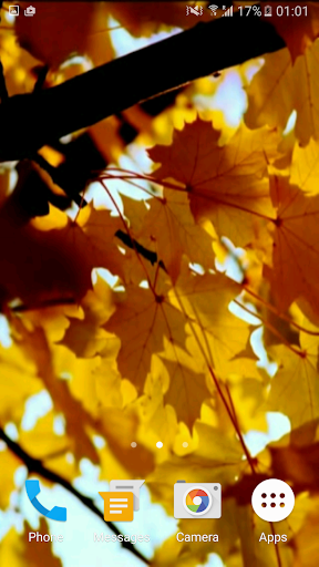 Autumn Leaves Video Wallpaper Screenshot 4 - AppWisp.com