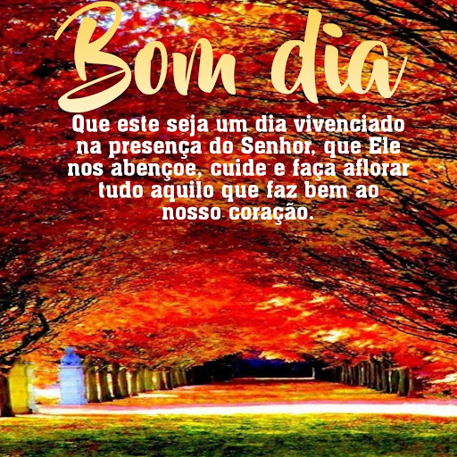 Bom dia Boa noite amor imagen