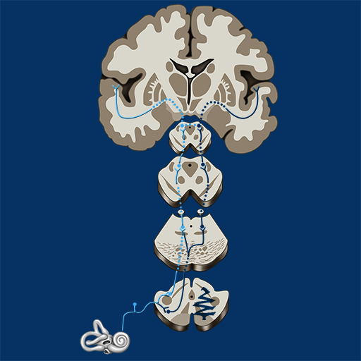 Pathway Tract ID دانلود در ویندوز