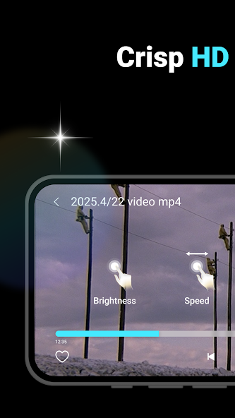 Video Fiesta Screenshot 1