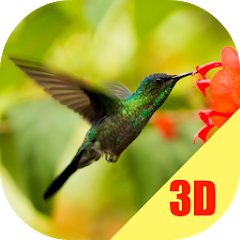 Birds Flying Live Wallpaper - Apps on Google Play