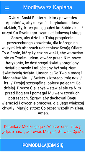 Margaretka T2021 Screen 3