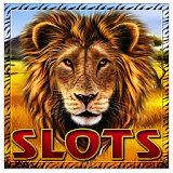 Safari - slot icon