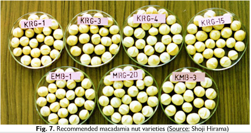 KALRO Macadamia Nut Screen 3