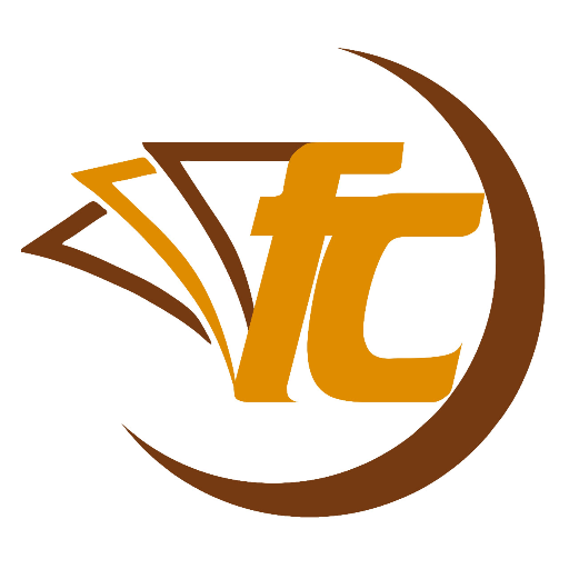 fricity capital logo