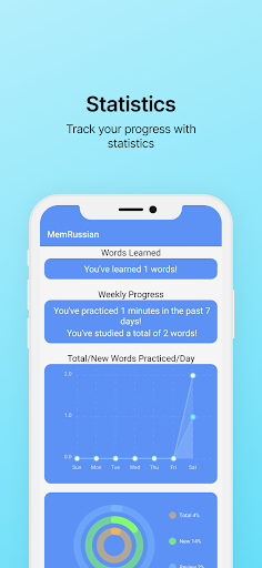 Mem Russian Declension & Vocab Screen 3
