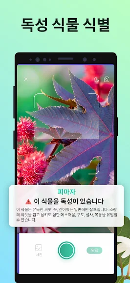 PictureThis - 꽃 & 식물 찾기_6