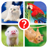 Guess the word - photo quiz icon