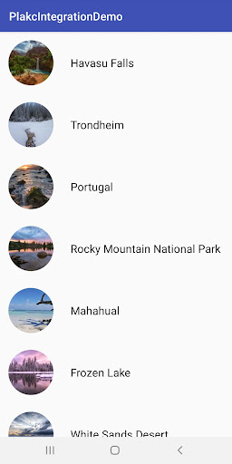 PLAKC DEMO NATIVE NEWS FEED