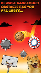 Basket Fall 5