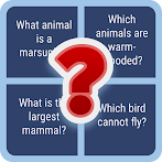 English ABC Quiz