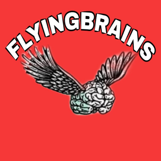 FLYING BRAINS (Toppers Classes logo